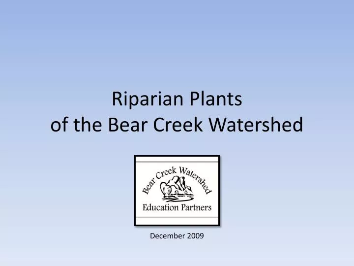 riparian plants of the bear creek watershed