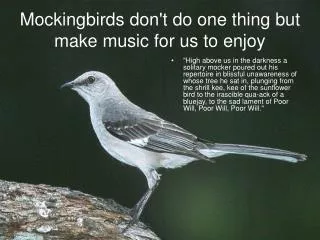 Mockingbirds don't do one thing but make music for us to enjoy