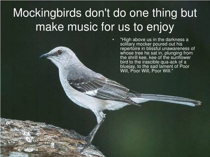 mockingbirds don t do one thing but make music for us to enjoy