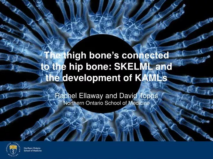 the thigh bone s connected to the hip bone skelml and the development of kamls