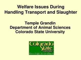 Welfare Issues During Handling Transport and Slaughter