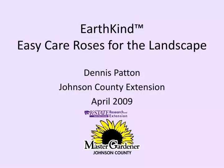 earthkind easy care roses for the landscape