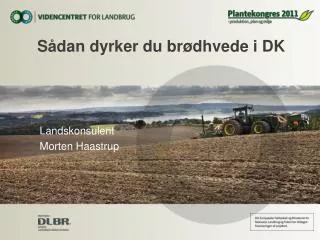 Sådan dyrker du brødhvede i DK