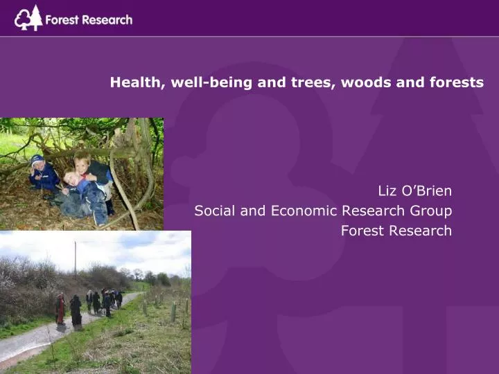 health well being and trees woods and forests