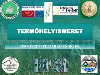 term helyismeret