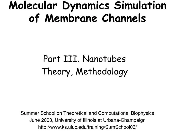 molecular dynamics simulation of membrane channels
