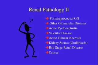 Renal Pathology II