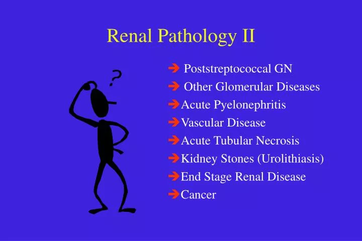 renal pathology ii