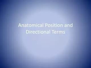 Anatomical Position and Directional Terms