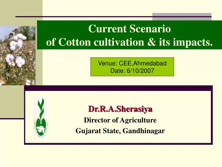 current scenario of cotton cultivation its impacts