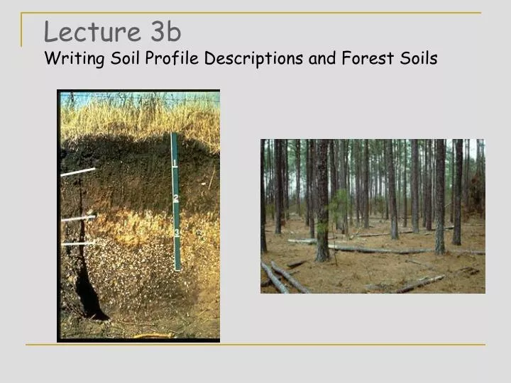 lecture 3b writing soil profile descriptions and forest soils