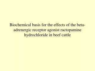 Biochemical basis for the effects of the beta-adrenergic receptor agonist ractopamine hydrochloride in beef cattle
