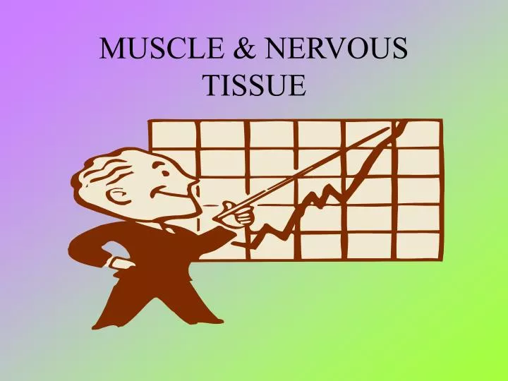 muscle nervous tissue
