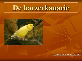 keurmeester herwig callewaert
