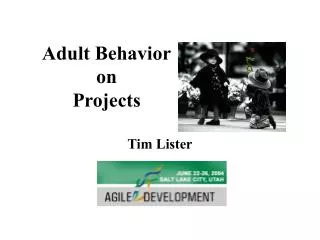 Adult Behavior on Projects