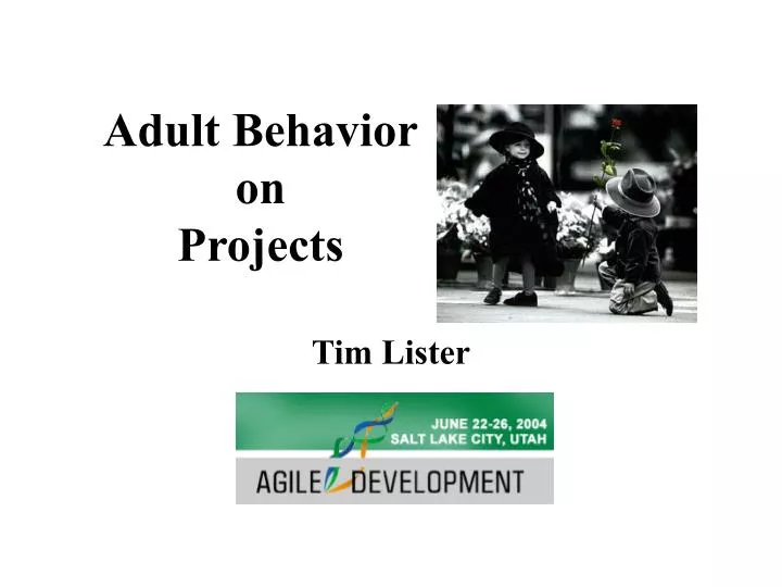 adult behavior on projects