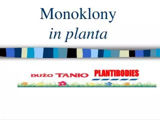 monoklony in planta