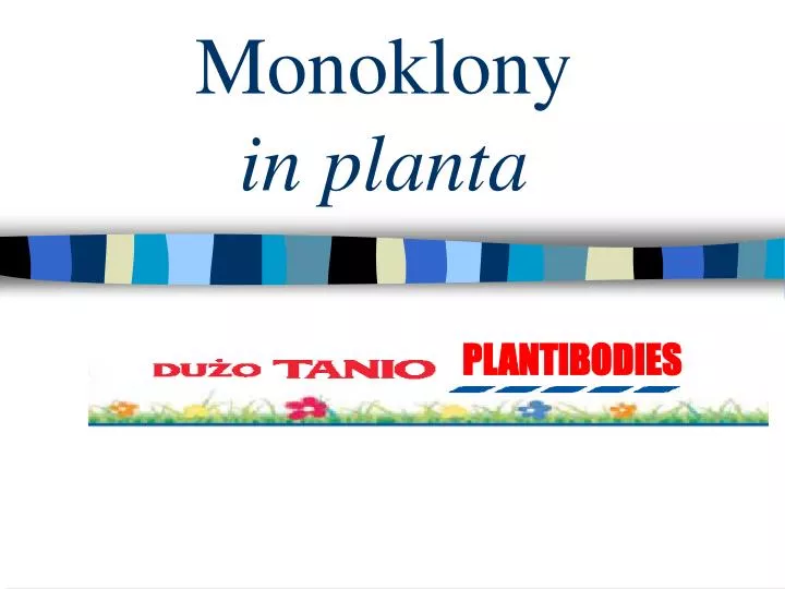 monoklony in planta