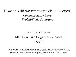 How should we represent visual scenes? Common-Sense Core, Probabilistic Programs