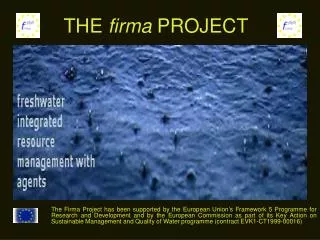 the firma project