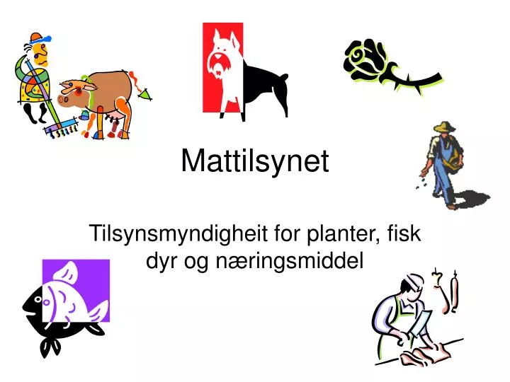 mattilsynet