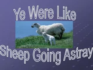 Ye Were Like Sheep Going Astray