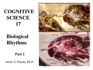 COGNITIVE SCIENCE 17 Biological Rhythms Part 1 Jaime A. Pineda, Ph.D .