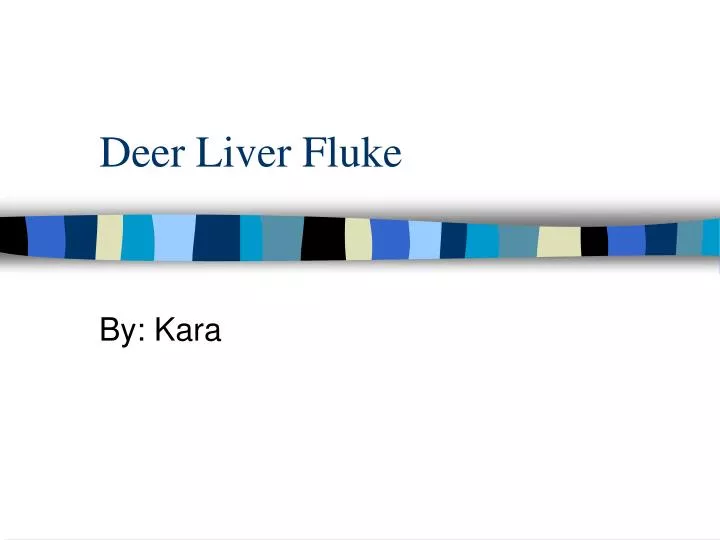 deer liver fluke