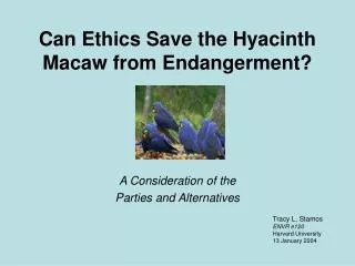 Can Ethics Save the Hyacinth Macaw from Endangerment?