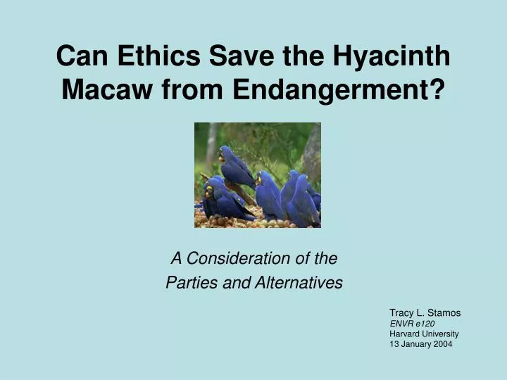 can ethics save the hyacinth macaw from endangerment