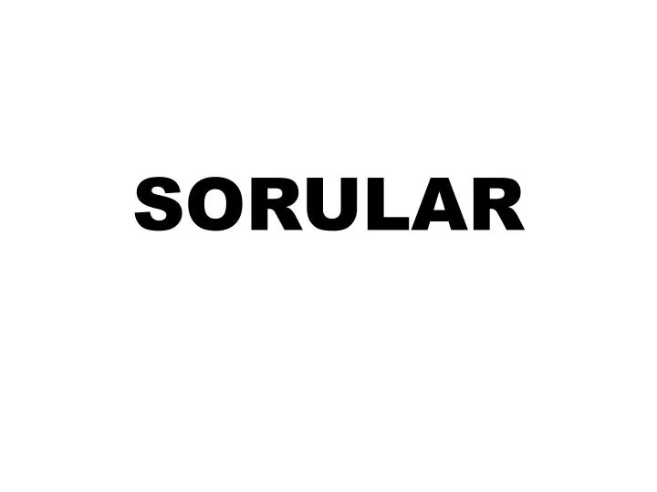 sorular