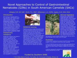 Novel Approaches to Control of Gastrointestinal Nematodes (GINs) in South American Camelids (SACs)