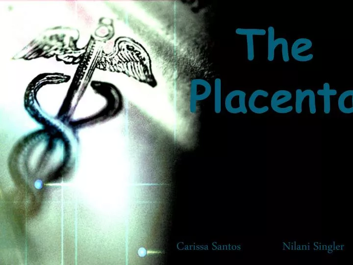 the placenta