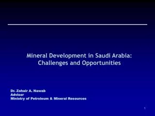 Mineral Development in Saudi Arabia: Challenges and Opportunities