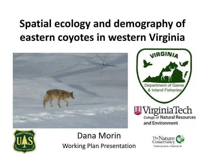 spatial e cology and demography of eastern coyotes in western virginia