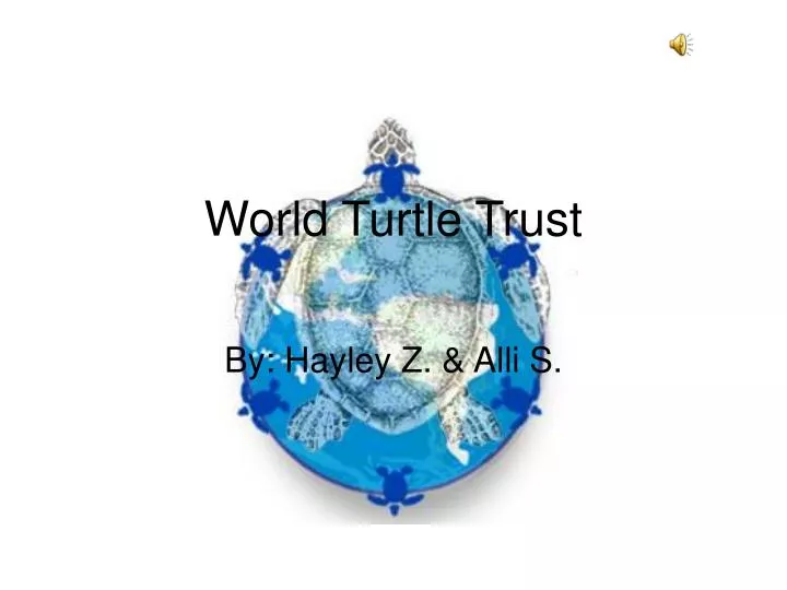 world turtle trust