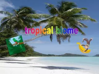 tropical biome