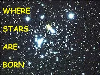 WHERE STARS ARE BORN