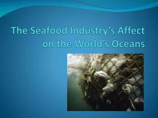 The Seafood Industry’s Affect on the World’s Oceans