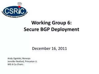 Working Group 6: Secure BGP Deployment