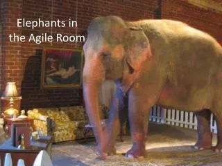 Elephants in the Agile Room
