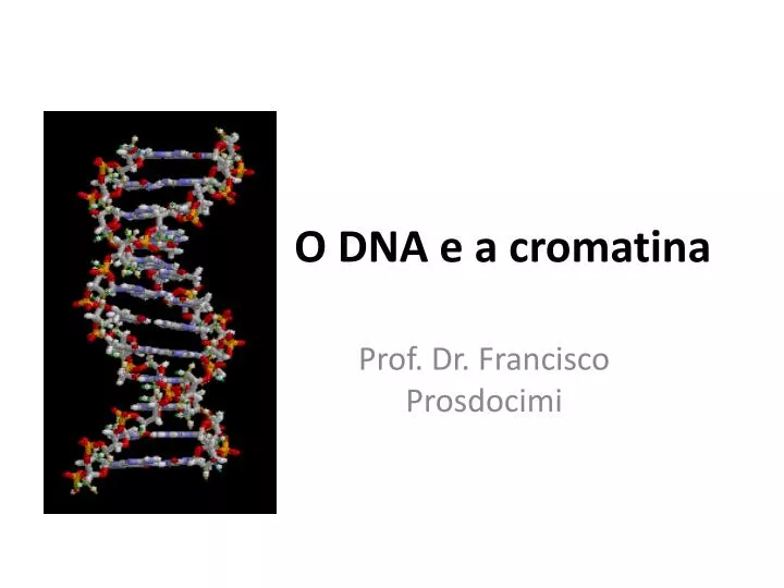 o dna e a cromatina