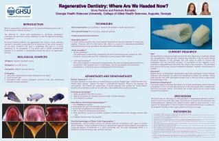 Regenerative Dentistry: Where Are We Headed Now?