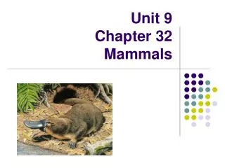 Unit 9 Chapter 32 Mammals
