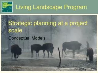 Strategic planning at a project scale