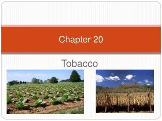chapter 20
