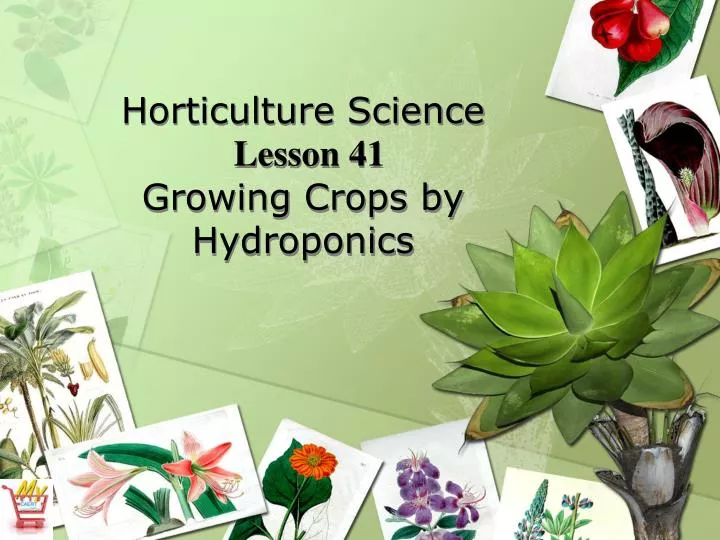 horticulture science lesson 41 growing crops by hydroponics