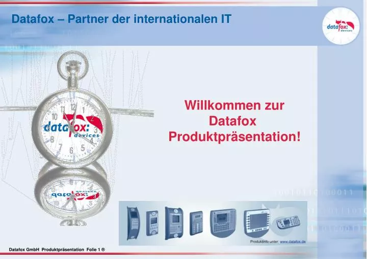 datafox partner der internationalen it