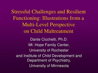 Stressful Challenges and Resilient Functioning: Illustrations from a Multi-Level Perspective on Child Maltreatment