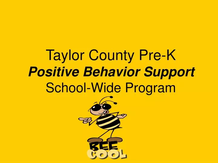 taylor county pre k positive behavior support school wide program